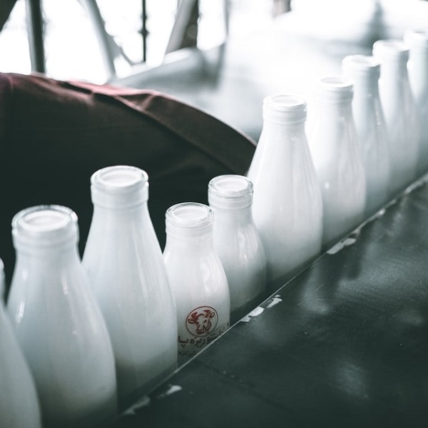 Import restrictions and market trends of Japanese dairy products in Malaysia